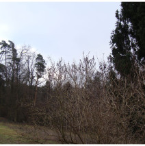 Grauer Winter oder Ist die Sehnsucht nach Bunt nicht nur das Vergessen, Farben im Grau zu sehen?